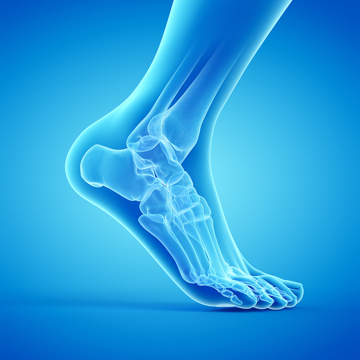Orthotics